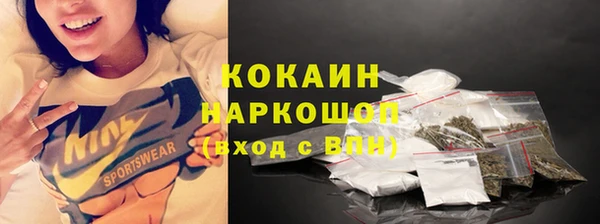 тгк Алексин