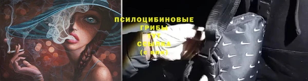 apvp Абинск