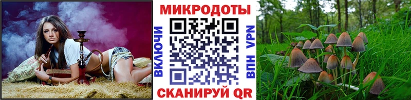 цена   Лебедянь  Галлюциногенные грибы Psilocybe 