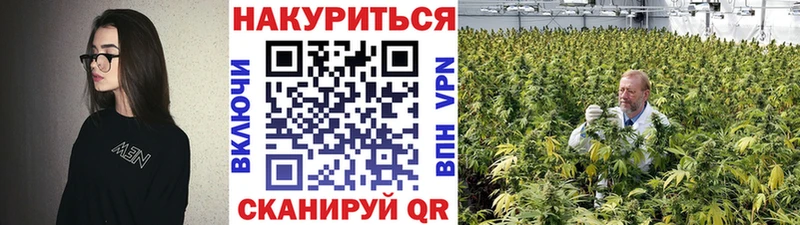 Конопля Ganja Лебедянь